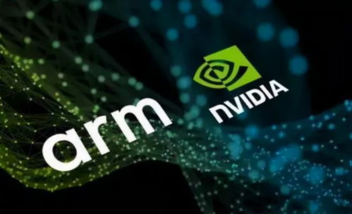 被市場嚴重低估的七大國產軟件，長牛之王崛起，誰是十倍龍頭？