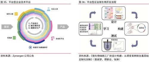 合成生物乘勢而起 顛覆傳統(tǒng)引領未來，軟件開發(fā)助力行業(yè)龍頭迎戴維斯雙擊